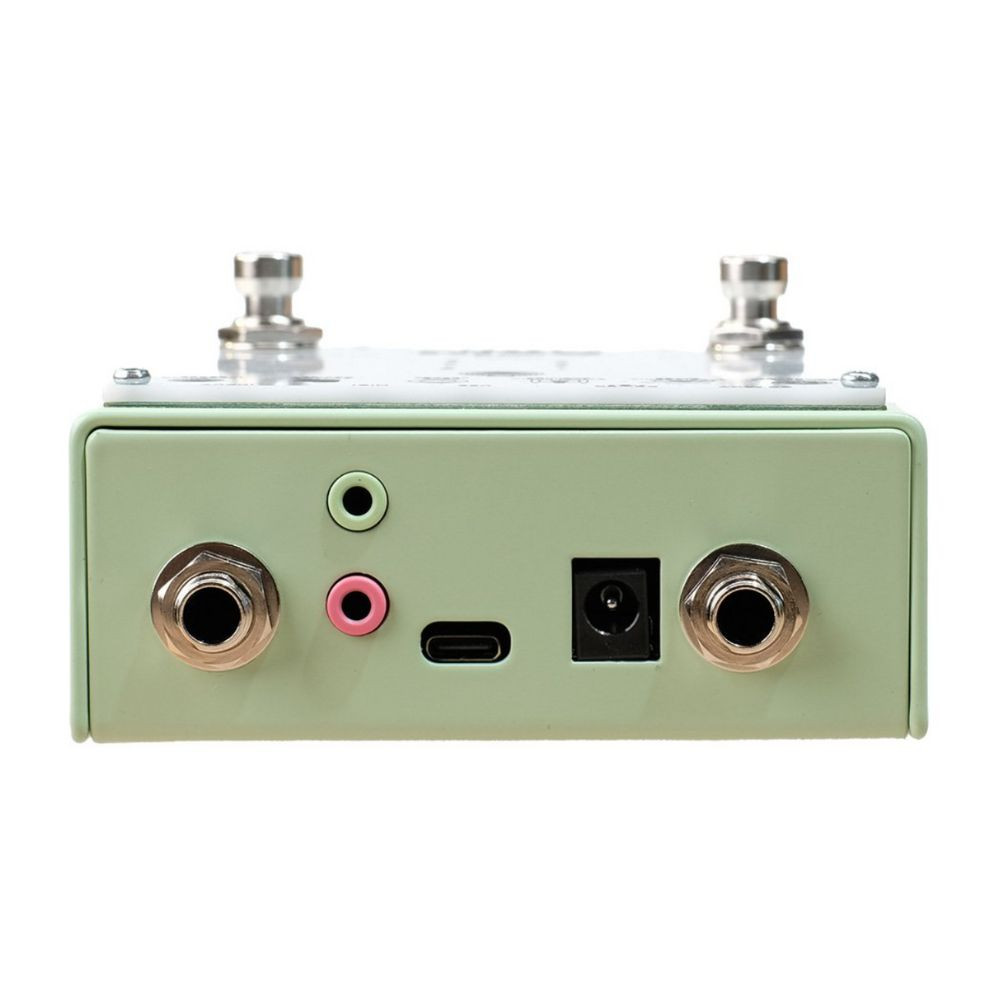 Poly Effects Verbs Reverb Pedal | Cream City Music