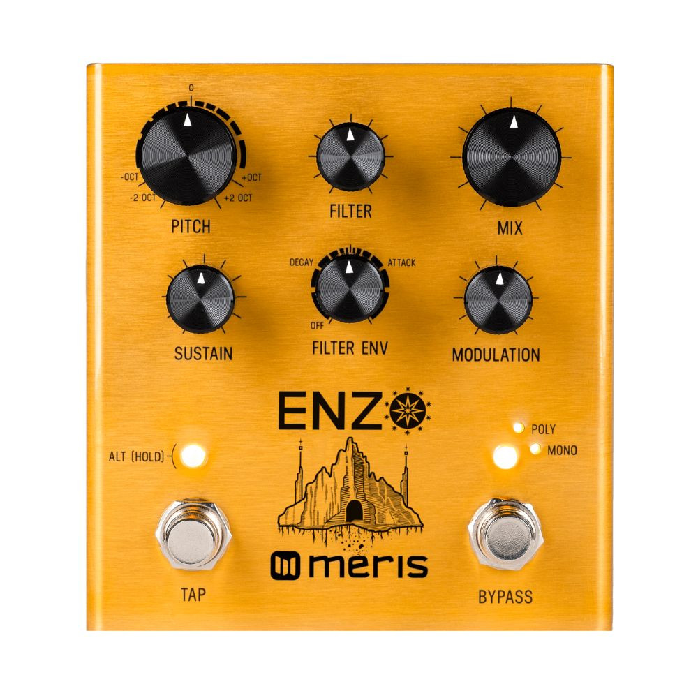 meris ENZO PRESET SWITCH付き