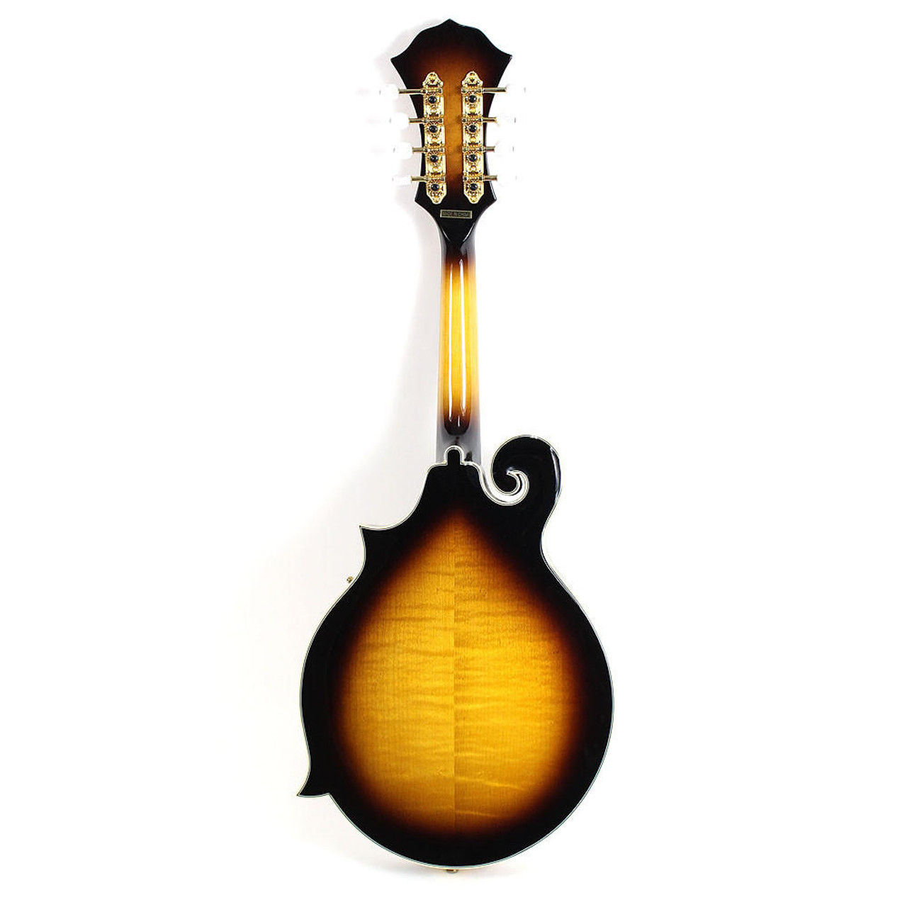 ギター Fender Mandolin FM-60s 24310_FM_63SE_Electric_Mando_B
