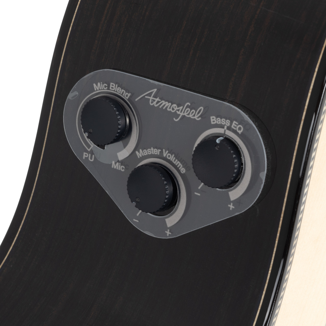 Yamaha FS9 RX Acoustic-Electric - Natural | Cream City Music