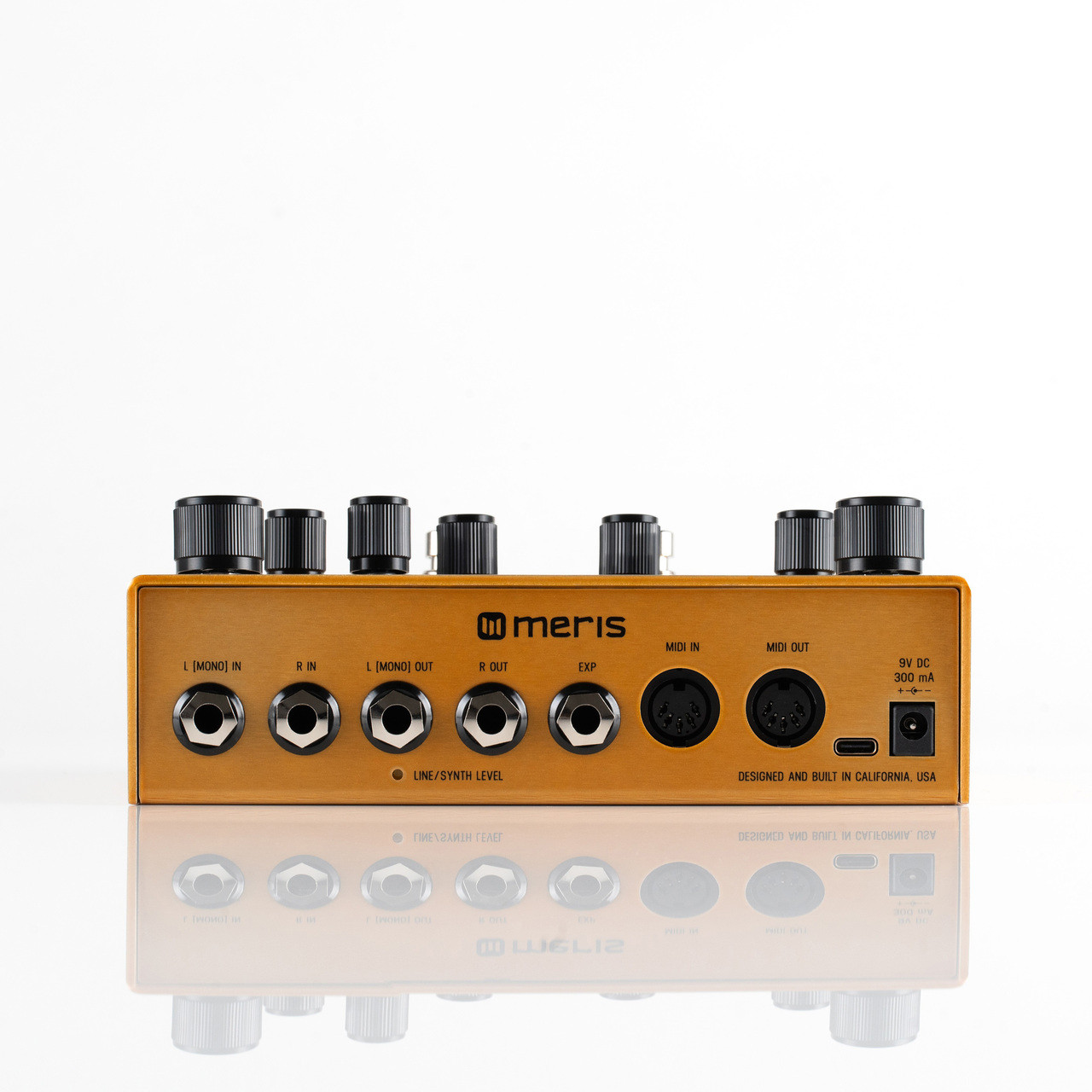 Meris Enzo X Polyphonic Synthesizer Pedal | Cream City Music