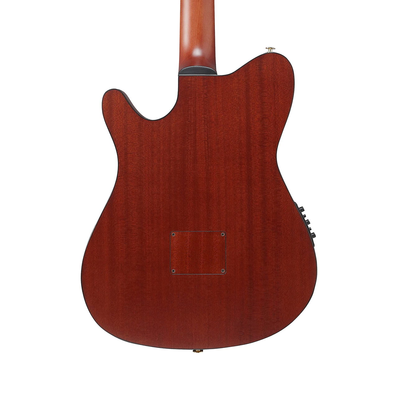 Ibanez FRH20SMN Acoustic-Electric Nylon - Tobacco Burst Low Gloss