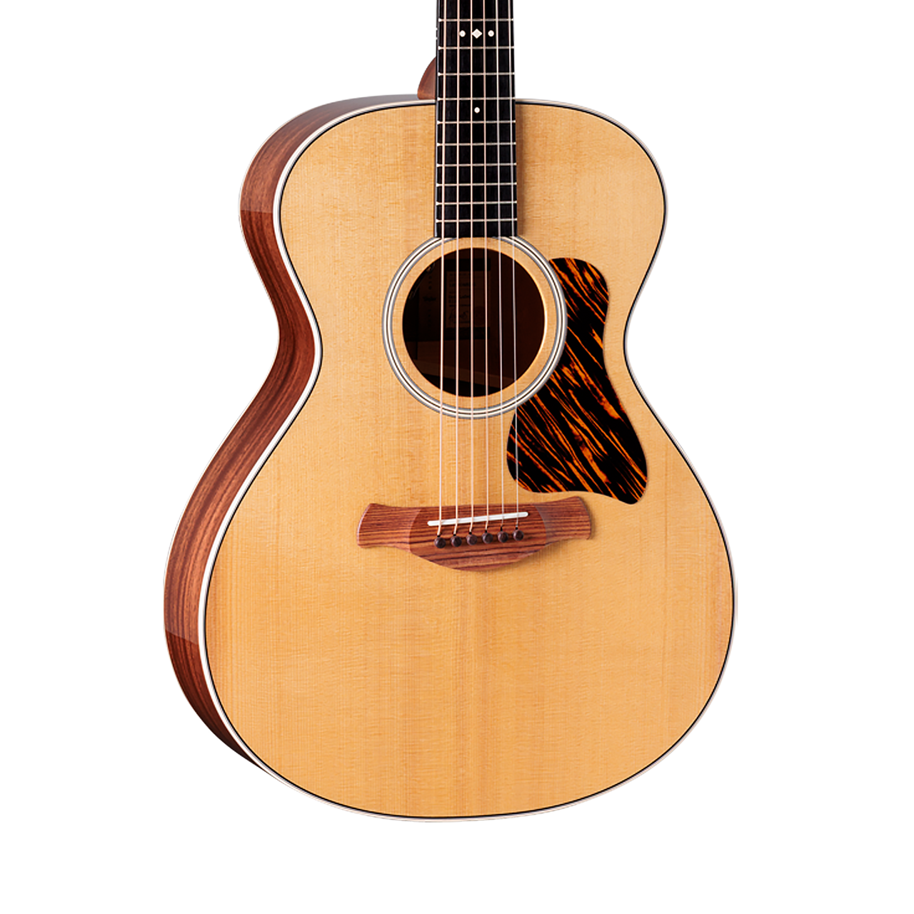 Taylor 512ce selected by koeido 光栄堂 Taylor 512ce selected by