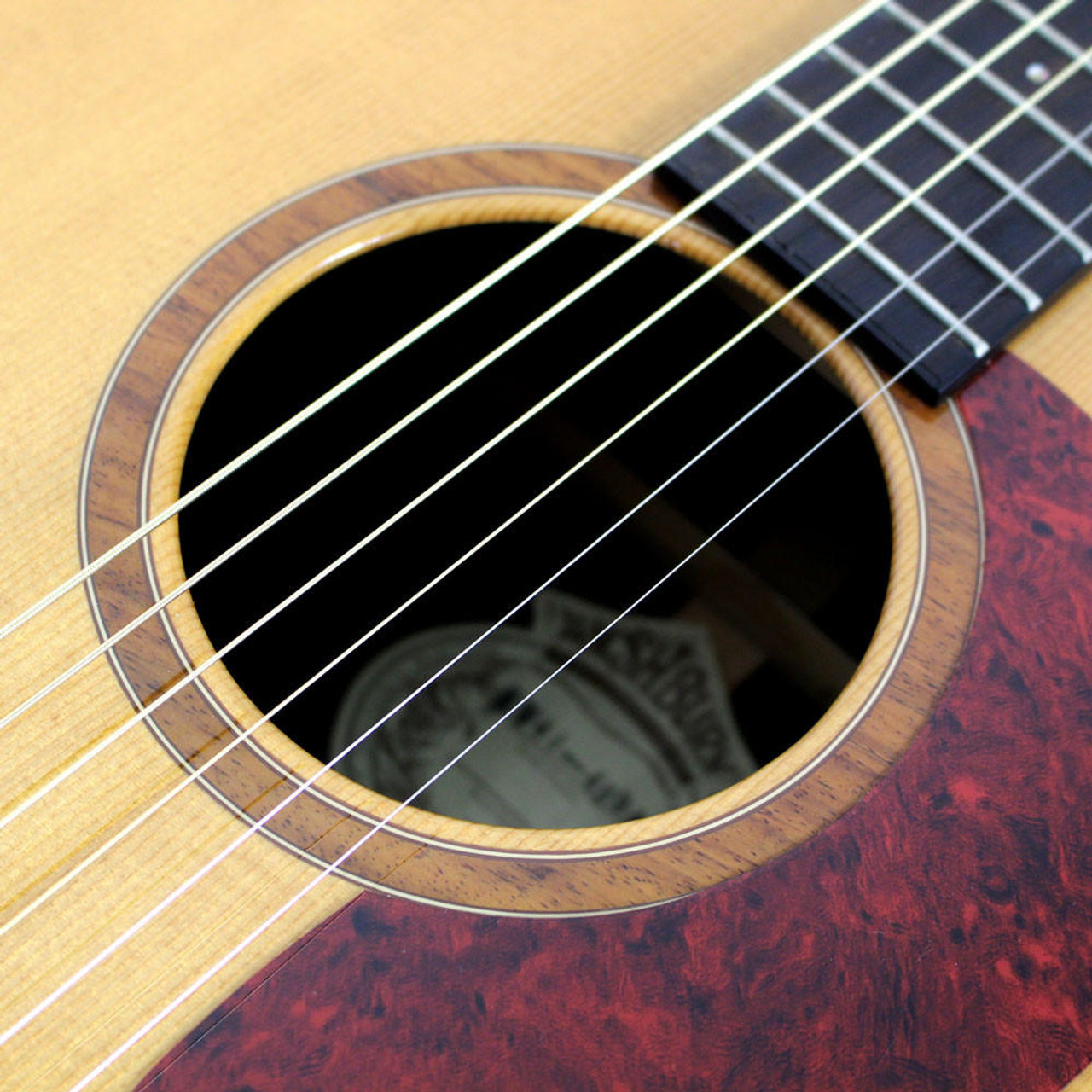 Washburn D-10S/ DLトップ単板♪グローバーペグ♪HC付き！低弦高 Washburn Guitars