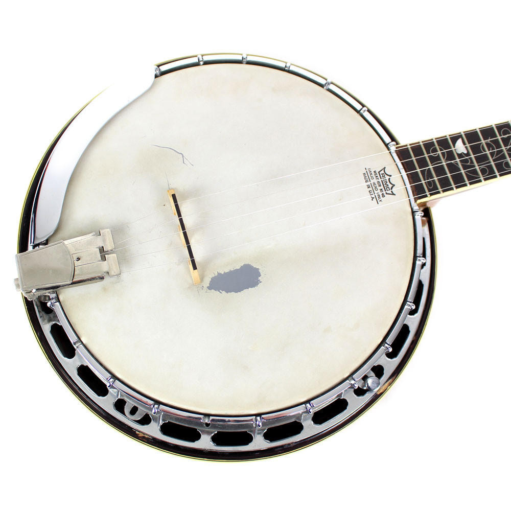 Vintage Aria Pro II 5-String Banjo | Cream City Music