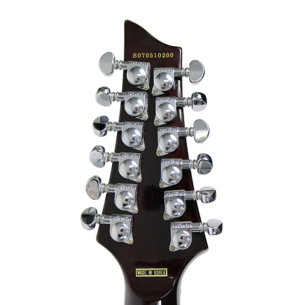 2007 Schecter CSH12 12-String Semi-Hollow Body Electric Guitar w