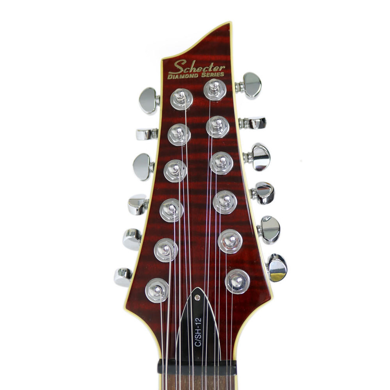 2007 Schecter CSH12 12-String Semi-Hollow Body Electric