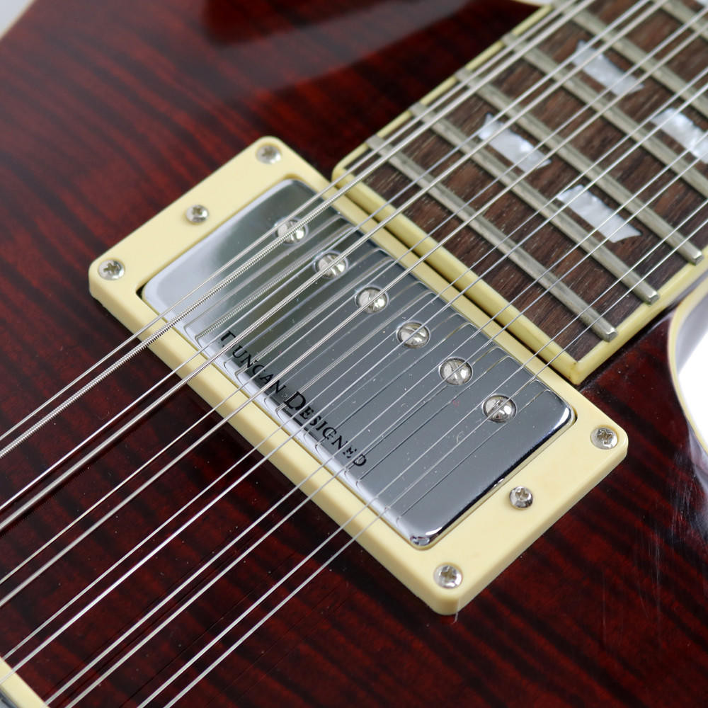 2007 Schecter CSH12 12-String Semi-Hollow Body Electric Guitar w/ Flame ...