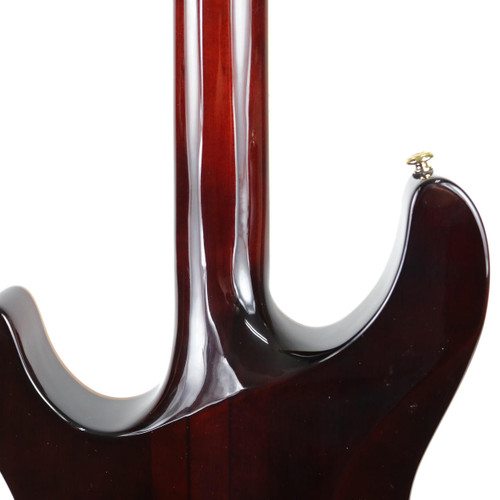 2006 Schecter C-1 Classic Antique Sunburst with Vine of Life Inlay