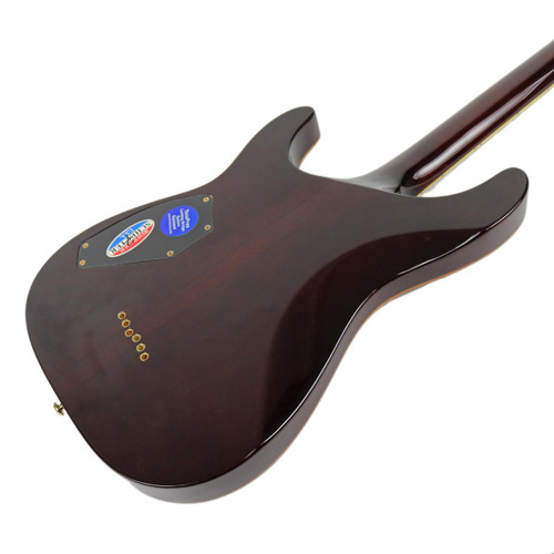 2006 Schecter C-1 Classic Antique Sunburst with Vine of Life Inlay