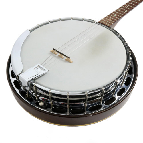 Vintage 1966 Gibson TB-100 Tenor Banjo Sunburst Finish