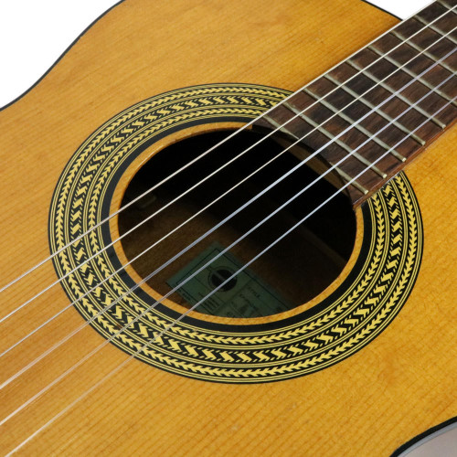 Vintage 1966 Epiphone EC30 Madrid Classical Nylon String Acoustic Guitar Natural Finish