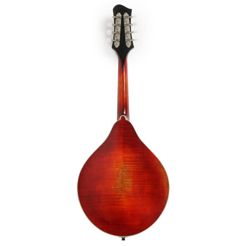 Eastman MD805 A Style Mandolin in Antique Varnish