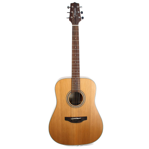 Takamine GD20 Dreadnought Acoustic - Satin Natural