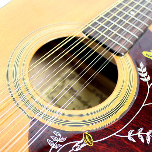 Vintage Matador TW-13 12-String 12th Fret Acoustic Dreadnought Guitar