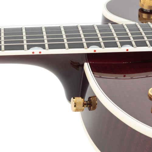 Used Gretsch G6122-1959 Chet Atkins Country Gentleman Burgundy 2009