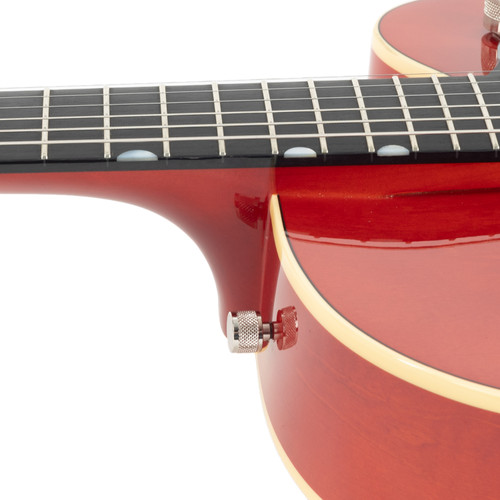 Used Gretsch G6119-1959 Chet Atkins Flagstaff Sunset Red 2008