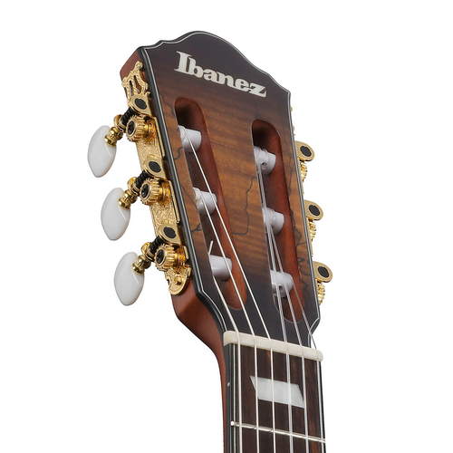 Ibanez FRH20SMN Acoustic-Electric Nylon - Tobacco Burst Low Gloss