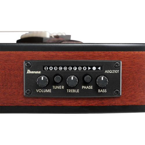 Ibanez FRH20SMN Acoustic-Electric Nylon - Tobacco Burst Low Gloss