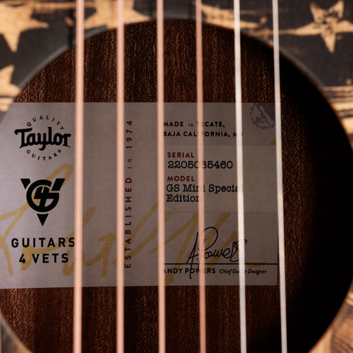 Taylor Guitars 4 Vets GS Mini Americana Special Edition Guitar
