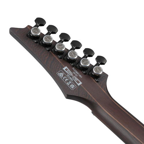 Ibanez RGD621AH Standard Electric - Midnight Shade Fade