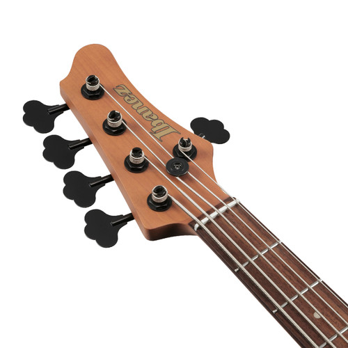 Ibanez MDM1005 Mode 5 String Electric Bass - Midnight Arctic Ocean Matte