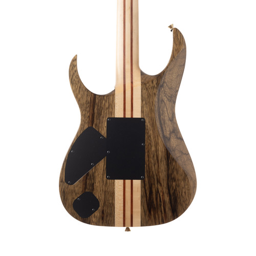 Ibanez Japan Custom Shop Visions IV2RG Burl Maple Top