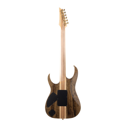 Ibanez Japan Custom Shop Visions IV2RG Burl Maple Top