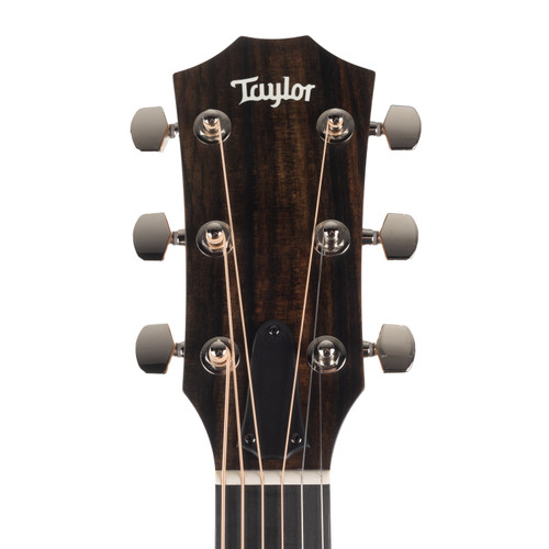 Taylor 414ce Studio Special Edition Acoustic-Electric - Honeyburst