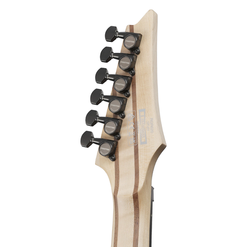 Ibanez 250th USA Anniversary RGR6A250