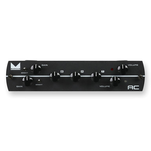 Synergy Preamp Module - Morgan AC