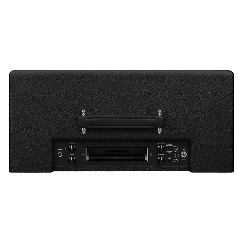 Synergy SYN-20IR 3 Channel Preamp Module 20W 1x12 Tube Combo Amp