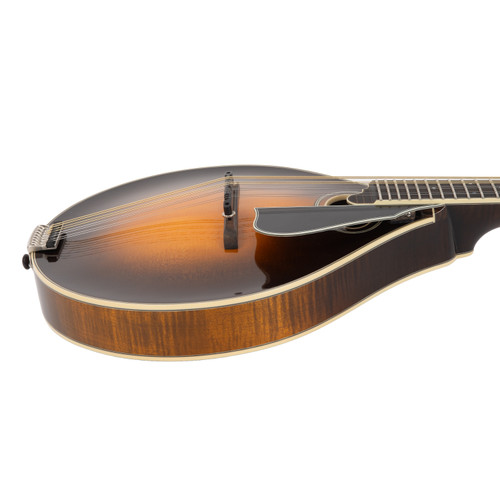 Used Northfield NFMSP-A4 Mandolin Sunburst 2023