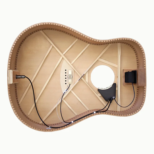 LR Baggs Anthem Soundhole Microphone and Undersaddle Pickup System