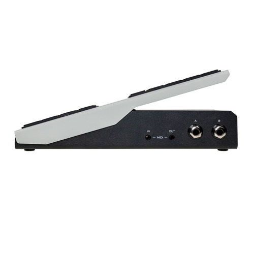 Walrus Canvas Expression Pedal