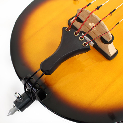 Used Gold Tone Upright Electric Club Bass in Tobacco Sunburst