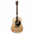 Martin Dwight Yoakam DD-28 Signature Edition Dreadnought Acoustic Guitar