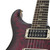 2011 PRS Paul Reed Smith Custom 24 Ten Top Angry Larry