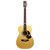 Maton EBG808TE Tommy Emmanuel Signature Acoustic-Electric