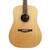 Eastman AC120 Solid Spruce Top Dreadnought with Gig Bag