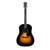 2010 Martin Special Edition CEO-6 CEO's Choice # 7 Dreadnought Acoustic Guitar