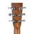 Martin Custom Shop GPC Grand Performance Cocobolo Acoustic Electric Guitar