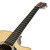 Martin Custom Shop GPC Grand Performance Cocobolo Acoustic Electric Guitar