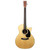 Martin Custom Shop GPC Grand Performance Cocobolo Acoustic Electric Guitar