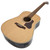 Seagull Coastline Momentum Acoustic Electric High Gloss Natural