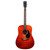 Eastman PCH1-D Pacific Coast Highway Acoustic Guitar in Classic Stained