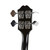 Used Epiphone Rivoli Ebony 1994
