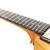 Used Epiphone LTD ED Joe Bonamassa 1958 Amos Korina Flying V 2017