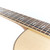 Used Taylor 814ce DLX Grand Auditorium Natural 2017
