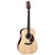 Takamine CP5D-OAD Limited Edition Dreadnought Acoustic Electric